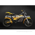 Chinese adult electric motorcycle electric two-wheeled vehicle electric motorcycle with pedals V1